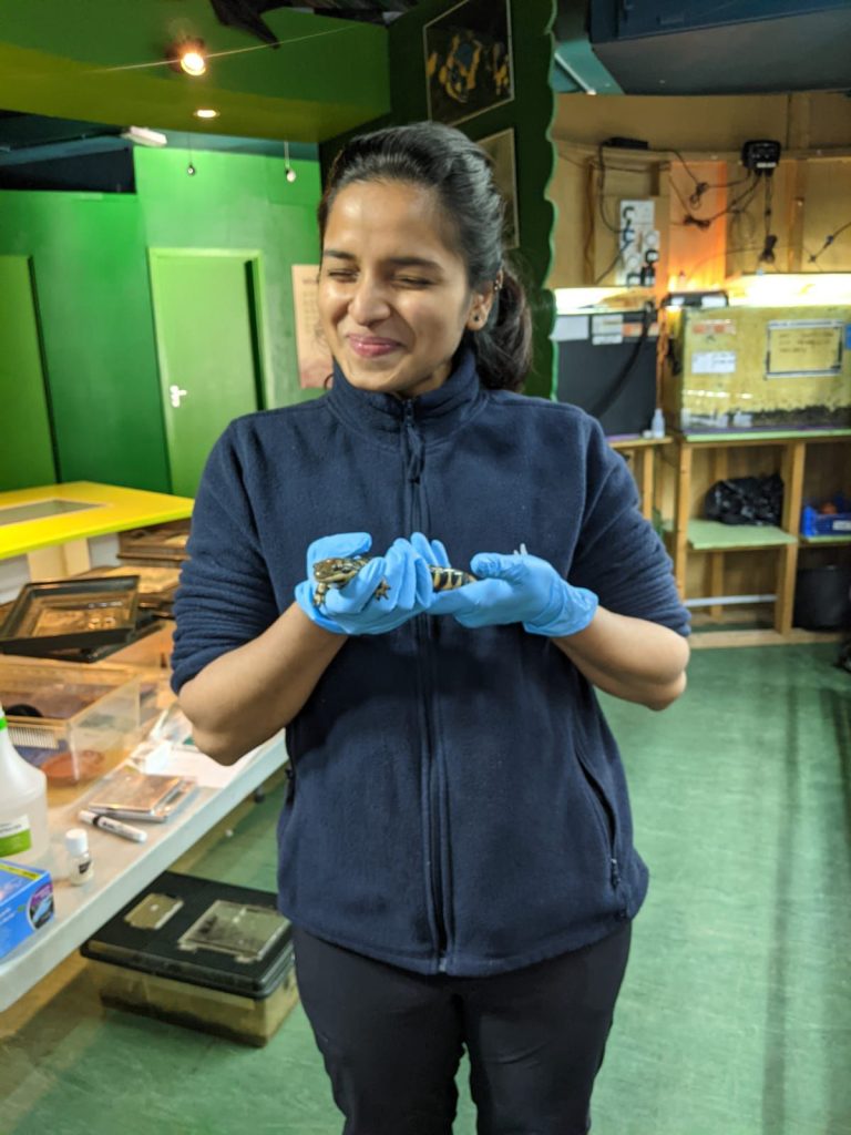 stem-untapped-gargi-sawant
